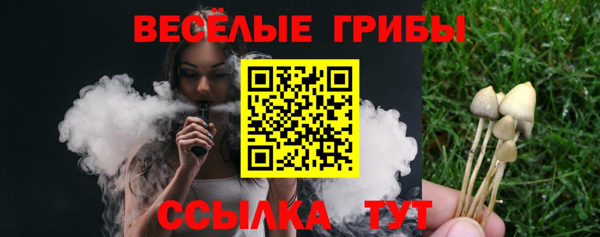 Орск  Галлюциногенные грибы Psilocybine cubensis  Вход с VPN 